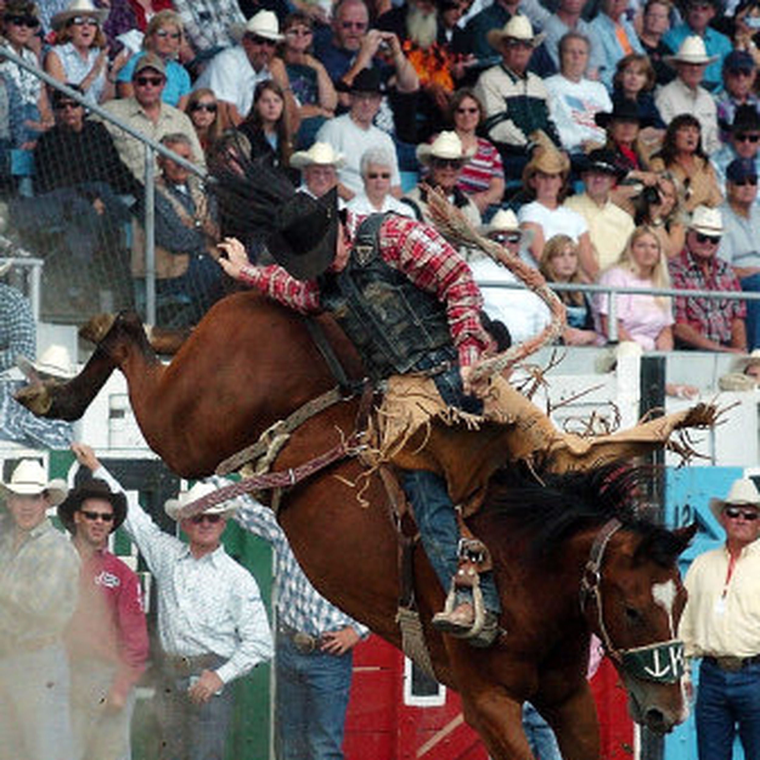 One of nation's oldest rodeos bans free snuff