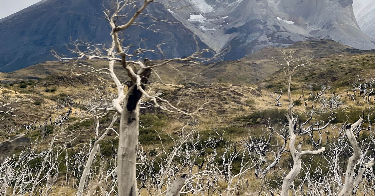 Viajar a Chile es una lección de los estragos del cambio climático