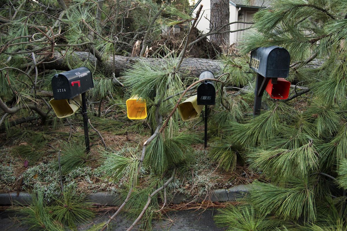 The mailboxes survived falling trees  near the corner of 38th Avenue and Dearborn Street in Spokane after November’s windstorm caused extensive damage in the area. (Dan Pelle / danp@spokesman.com)