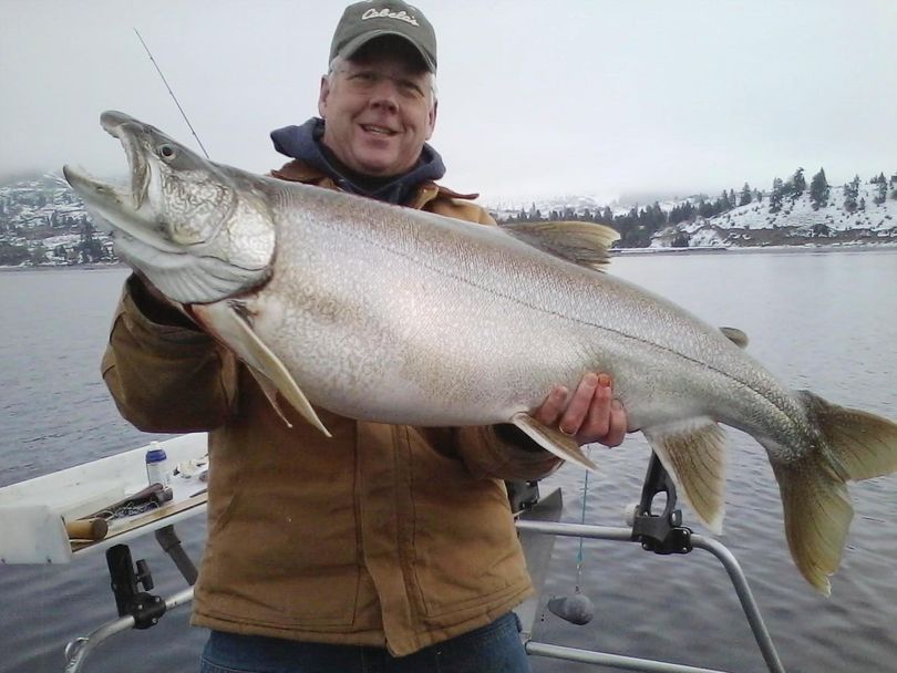 A 35-pound, 10-ounce pending state record lake trout was caught Feb. 4, 2013, in Lake Chelan by Phil Colyar, 56, of Wenatchee. Colyar is a Spokane native who was graduated from Shadle Park High School. (Jack Stagge / Courtesy Phil Colyar)