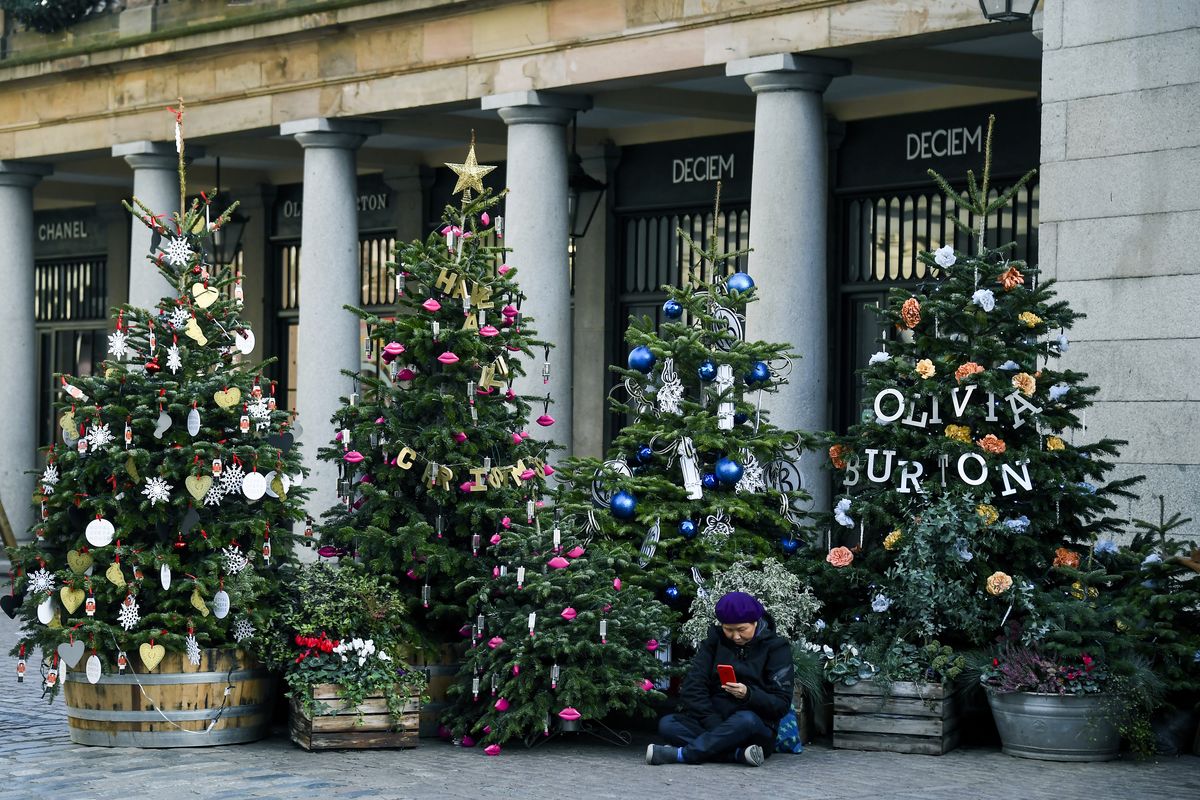 A woman sits amid Christmas trees in Covent Garden, in London, Tuesday, Nov. 24, 2020. Haircuts, shopping trips and visits to the pub will be back on the agenda for millions of people when a four-week lockdown in England comes to an end next week, British Prime Minister Boris Johnson said Monday.  (Alberto Pezzali)