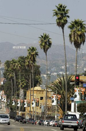 
The Hollywood sign is seen above palm trees on Sunset Boulevard. The  trees will be replaced with native species as they die. 
 (Associated Press / The Spokesman-Review)
