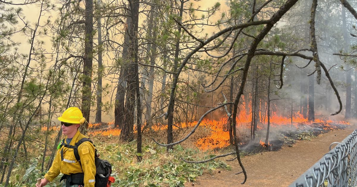 Fire burned 4.5 acres in wooded area near Dwight Merkel complex