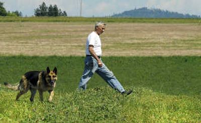 Bob McMillan and his 11 year-old dog Bubba make their way over a row of cut alfalfa Wednesday near his home on Bigelow Gulch Road. 
 (Dan Pelle / The Spokesman-Review)