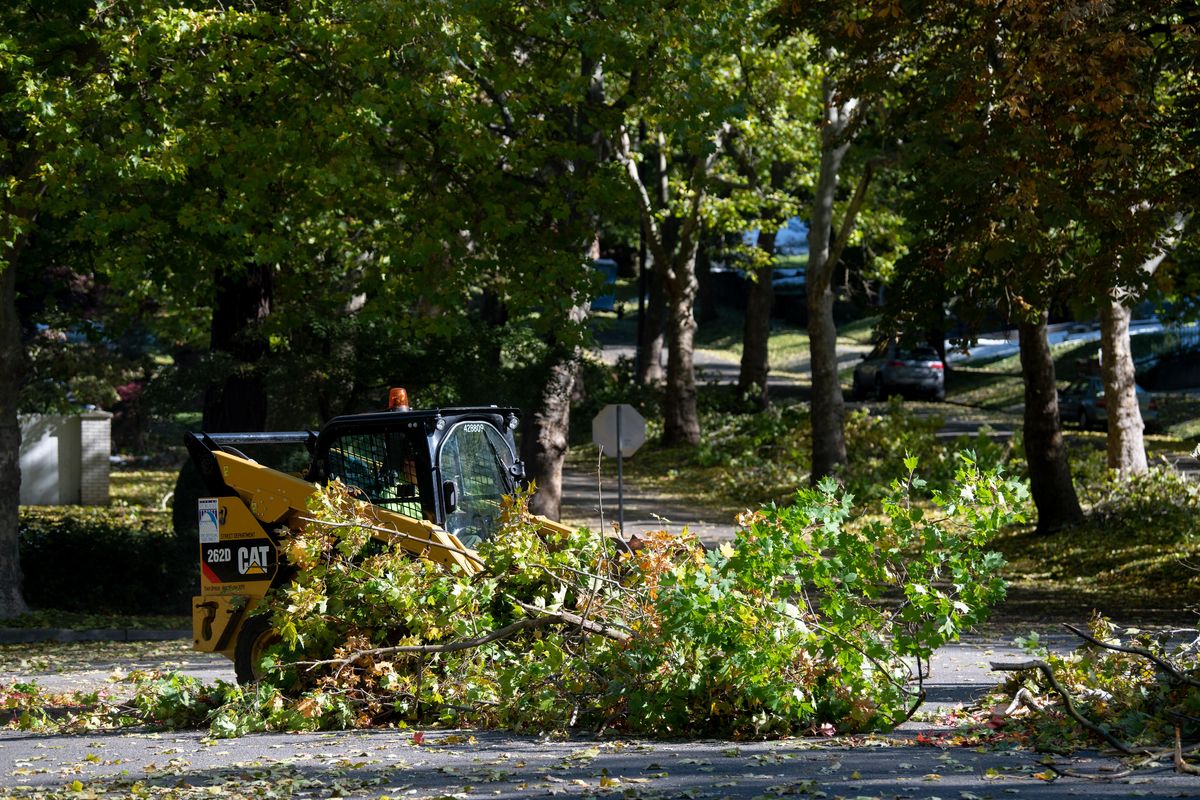 A Spokane city employee in a skid-steer loader pushes fallen branches together for removal on 20th Avenue on Spokane’s South Hill on Friday, Oct. 11, 2019, part of an all-out effort to clear debris from a snow storm that struck early Wednesday. (Jesse Tinsley / The Spokesman-Review)