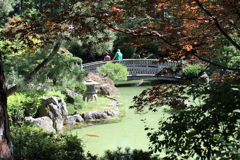 Japanese Gardens - Readers' favorite places - Local Guides - The