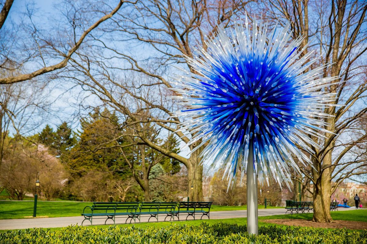 Dale Chihuly’s Sapphire Star at the New York Botanical Garden. The show runs through Oct. 29. (Photos courtesy of the New York Botanical Garden)