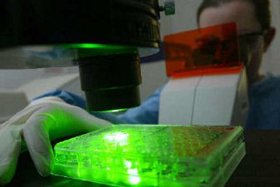 
A research scientist at Boston Scientific Corp., which on Wednesday won a bidding war to acquire rival medicine device maker Guidant Corp. 
 (Associated Press / The Spokesman-Review)