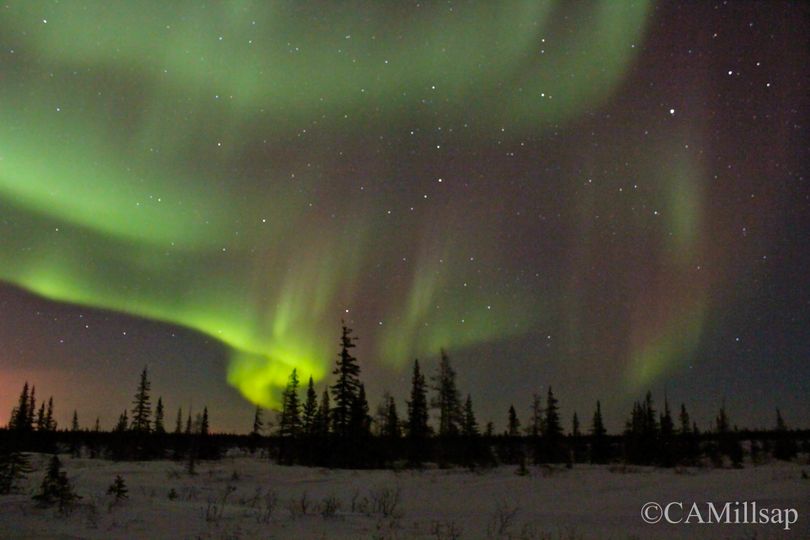 dække over Uartig meget Travel: Northern Lights over Churchill, Manitoba | The Spokesman-Review