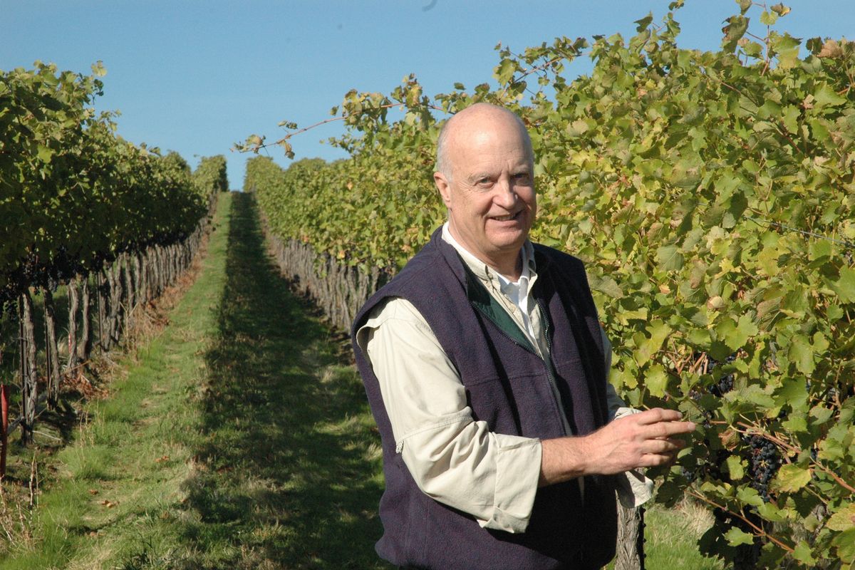 Allen Shoup, founder of Long Shadows Vintners, checks grapes at The Benches Vineyard in the eastern Horse Heaven Hills near the Tri-Cities.