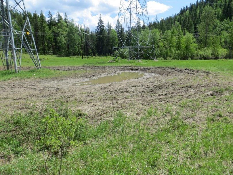 Mudders in their four-wheel drive vehicles trashed a meadow in a power transmission line corridor about 3.5 miles northwest of Ione in early June 2014. The fine for this illegal off-road riding is up to $5,000. (U.S. Forest Service)