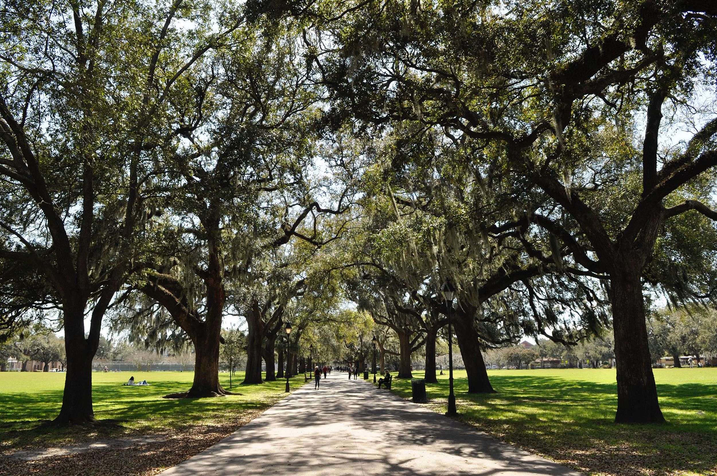 Savannah, Georgia  April 5, 2019  The SpokesmanReview