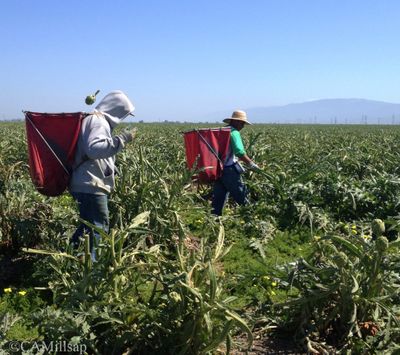  (Cheryl-Anne Millsap / photo by Cheryl-Anne Millsap)