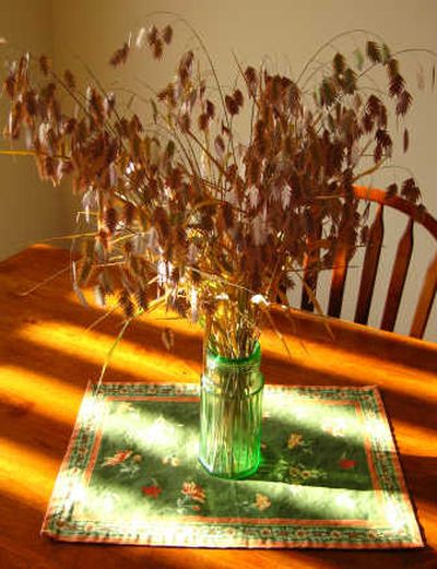 
Northern Sea Oats reward gardeners in the fall with attractive seed heads for dried flower arrangements.
 (SUSAN MULVIHILL/Special to / The Spokesman-Review)