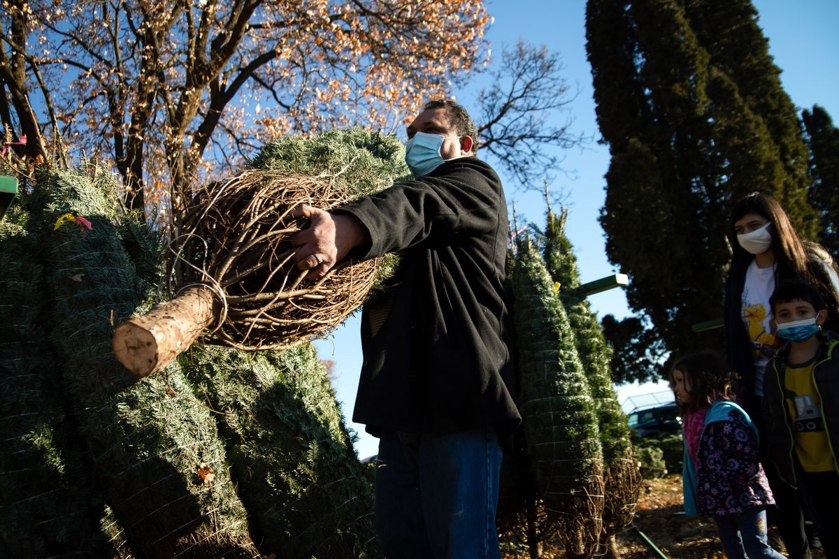 Hutton Settlement Christmas Trees 2022 Hutton Settlement Christmas Tree Farm's First Weekend Of The Season Brings  Record-Breaking Sales | The Spokesman-Review