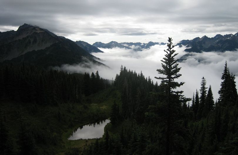 Fog sits in a valley near Olympic National Park's High Divide Trail, with glaciated peaks in the background (Associated Press)