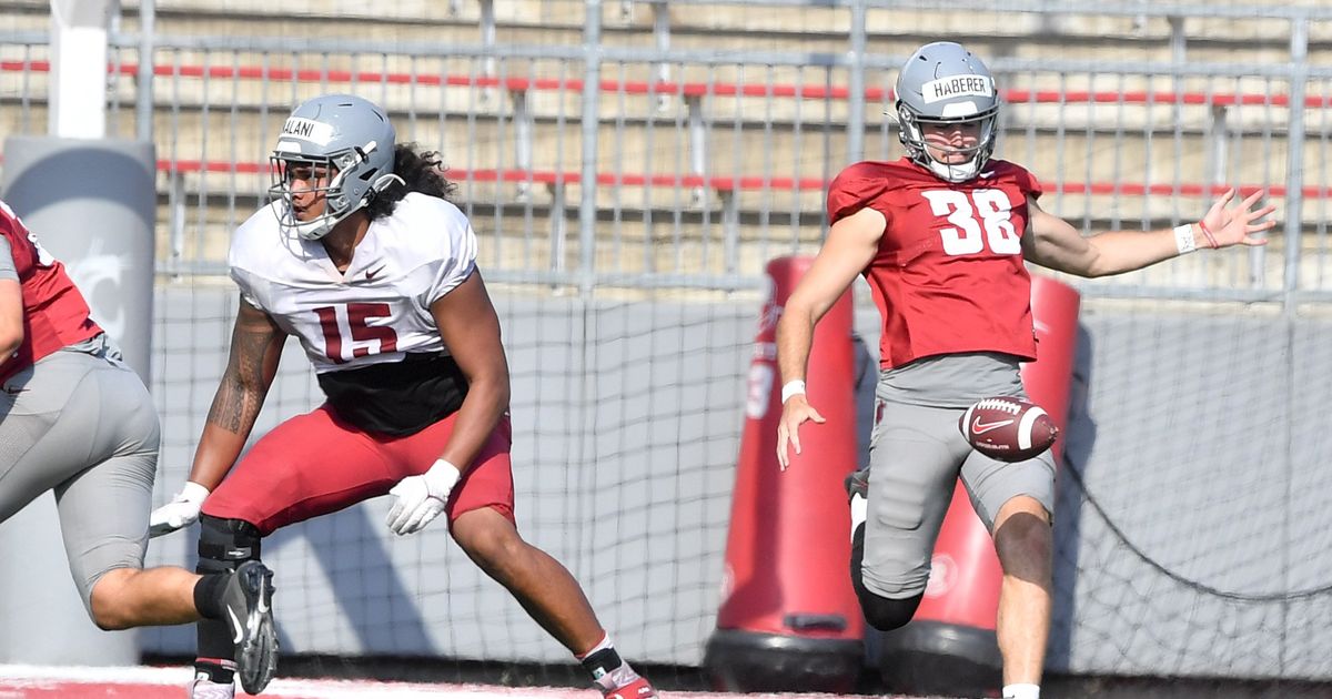 How WSU punter Nick Haberer found his way from Australia to Pullman