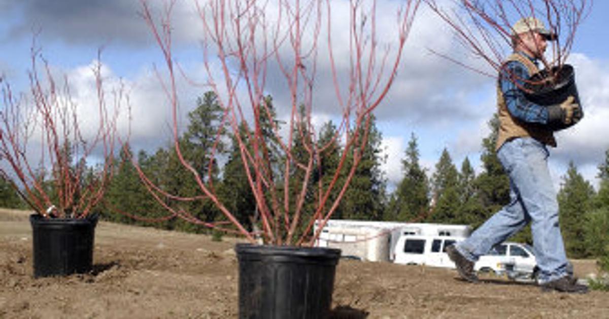 Final landscaping complete on Slavin Ranch restoration