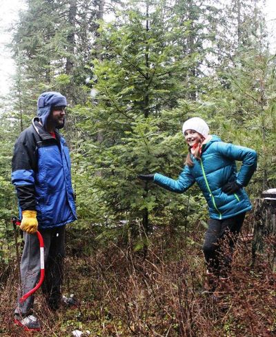 Ava Walter, 12, shows her dad the true meaning of a national forest Christmas tree: tall and bare. (Photo by Jeanne Ryan)