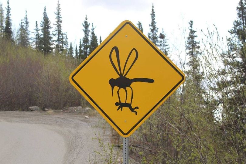 Mosquitoes are legendary in Alaska, but we suspect this sign wasn't produced by the state office of Tourism.