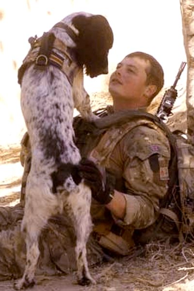 In this undated image, British Lance Cpl. Liam Tasker sits with his military working dog, Theo, in Afghanistan. (Associated Press)