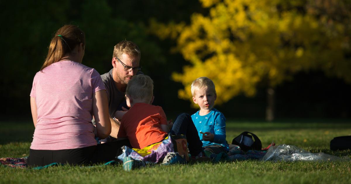 Falling into fall: Where to go to view the area and season's vibrant colors