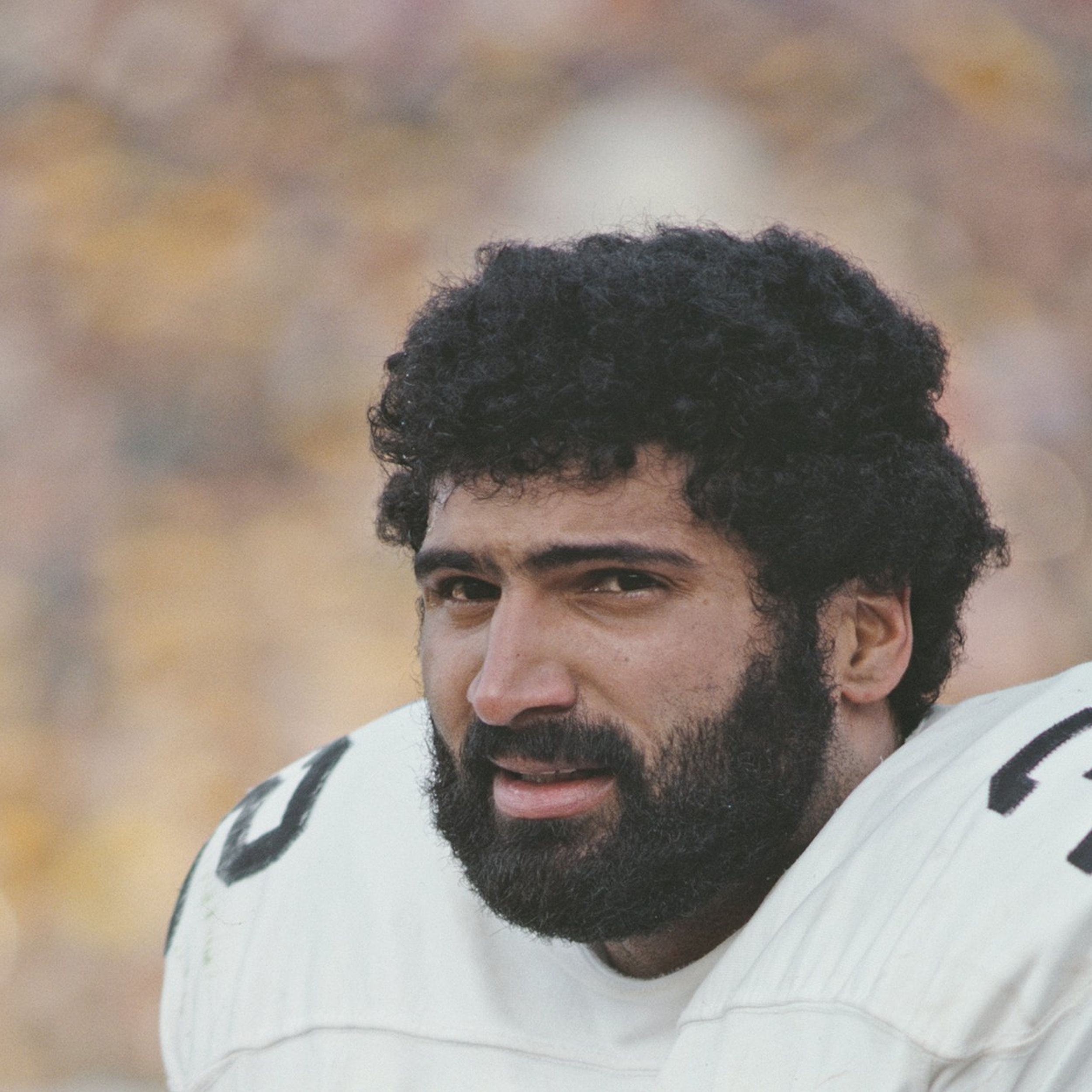 Steelers players, fans remember Franco Harris