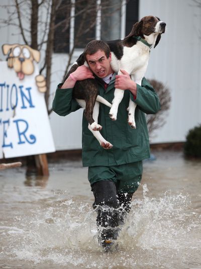 Heavy flooding: Phil Peckinpaugh, executive director of the Animal Rescue Fund, carries a dog through the water outside of the adoption center in Muncie, Ind., on Monday. Storms with heavy rain, high winds and hail knocked out power Monday and flooded homes and roads in Ohio and Indiana, and three homes in Kentucky were destroyed in what state police called an apparent tornado. (Associated Press)