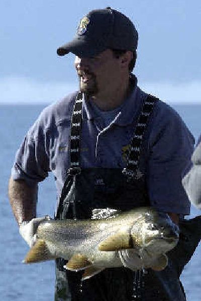 
A biologist holds a large lake trout captured during a research project in 2003 on Lake Pend Oreille. 
 (File/. / The Spokesman-Review)