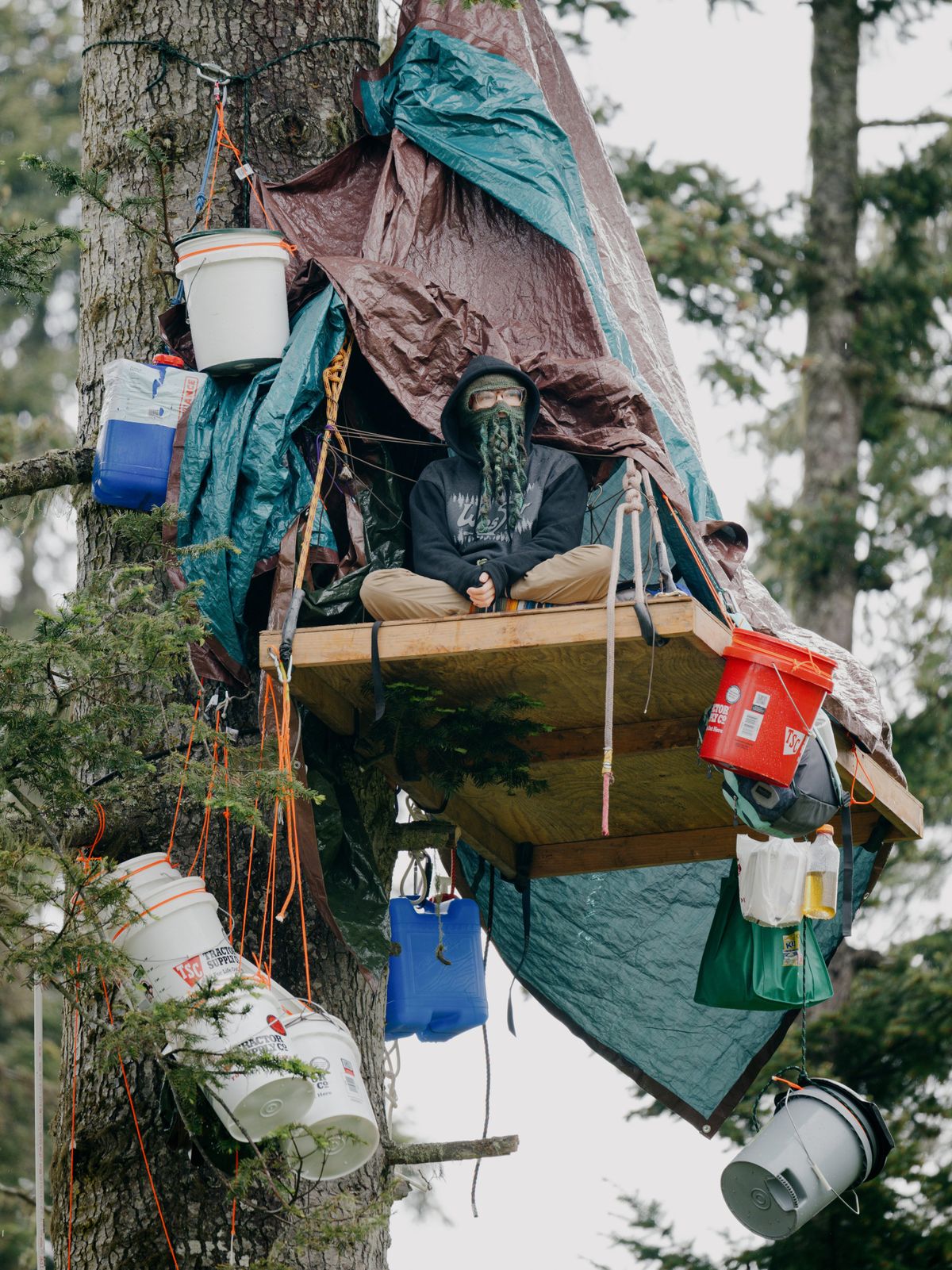 The tree sitter, 80 feet up. MUST CREDIT: Grant Hindsley/For The Washington Post  (Grant Hindsley/For The Washington Post)