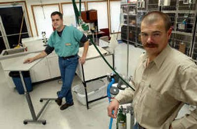 
Emergency veterinarian David Gray, left, and Kendall Bodkin, a vet from Hayden Pet Medical Center, helped open the North Idaho Pet Emergency clinic in Post Falls. The clinic takes care of pets' problems after their regular veterinarians' offices have closed for the day. Emergency veterinarian David Gray, left, and Kendall Bodkin, a vet from Hayden Pet Medical Center, helped open the North Idaho Pet Emergency clinic in Post Falls. The clinic takes care of pets' problems after their regular veterinarians' offices have closed for the day. 
 (Kathy Plonka/Kathy Plonka/ / The Spokesman-Review)