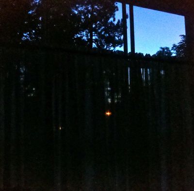  (Cheryl-Anne Millsap / Photo by Cheryl-Anne Millsap)