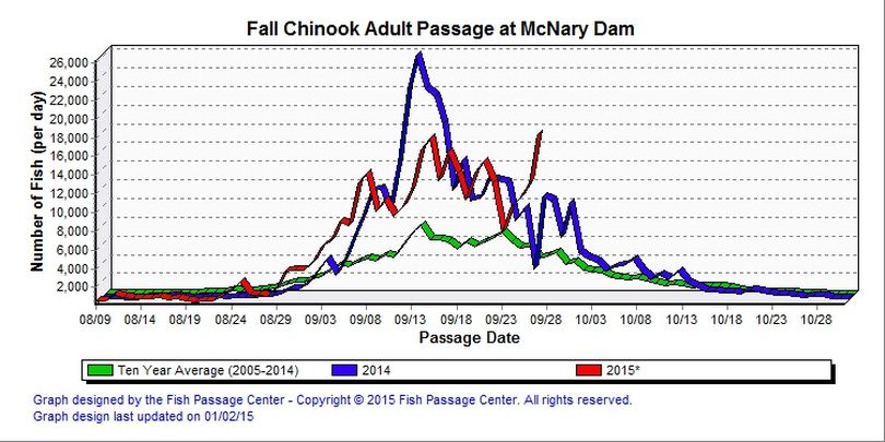 Adult fall chinook counts over McNary Dam as of Sept. 27, 2015. (Fish Passage Center)