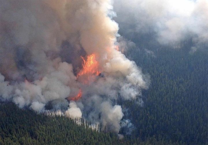 Weathercatch: Washington State’s Biggest Wildfire: Human Caused 