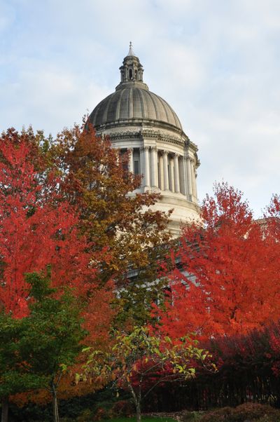 Northwest corner of the State Capitol with fall colors surrounding it, Nov. 9, 2011. (Jim Camden)