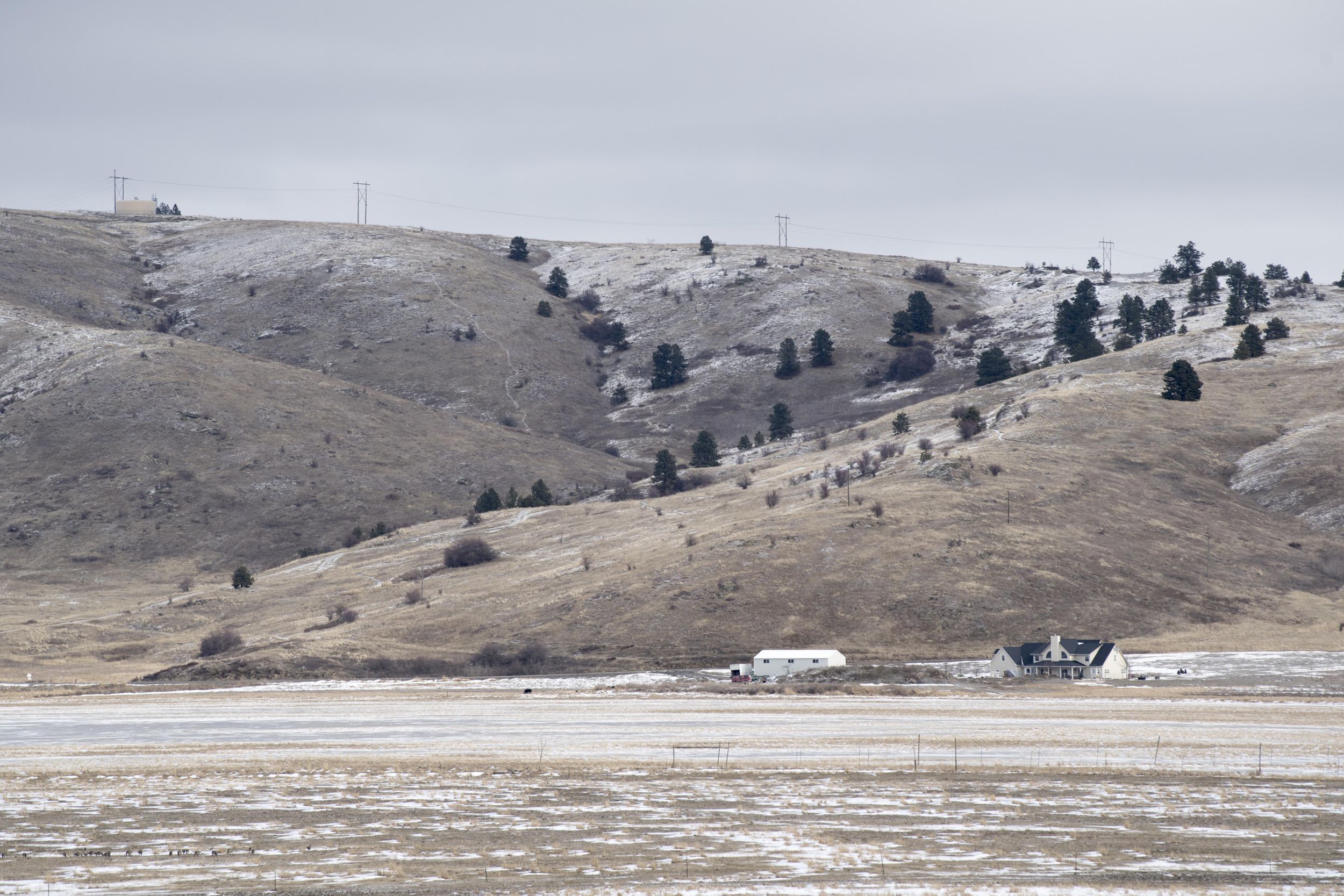 Audubon features presentation on wetland restoration at Saltese Flats