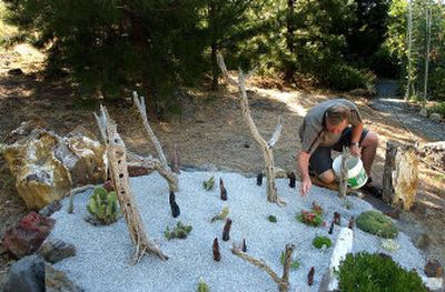 
Allen Peterson cleans his cactus garden that thrives with several different species. Petrified rock borders the space. 
 (Brian Plonka / The Spokesman-Review)