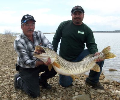 Danny and Jesse Sanchez with the new Montana state record tiger musky caught May 15 from Deadmans Basin Reservoir. The fish was 48.38 inches long and weighed 30 pounds. 

 (Jesse Sanchez)