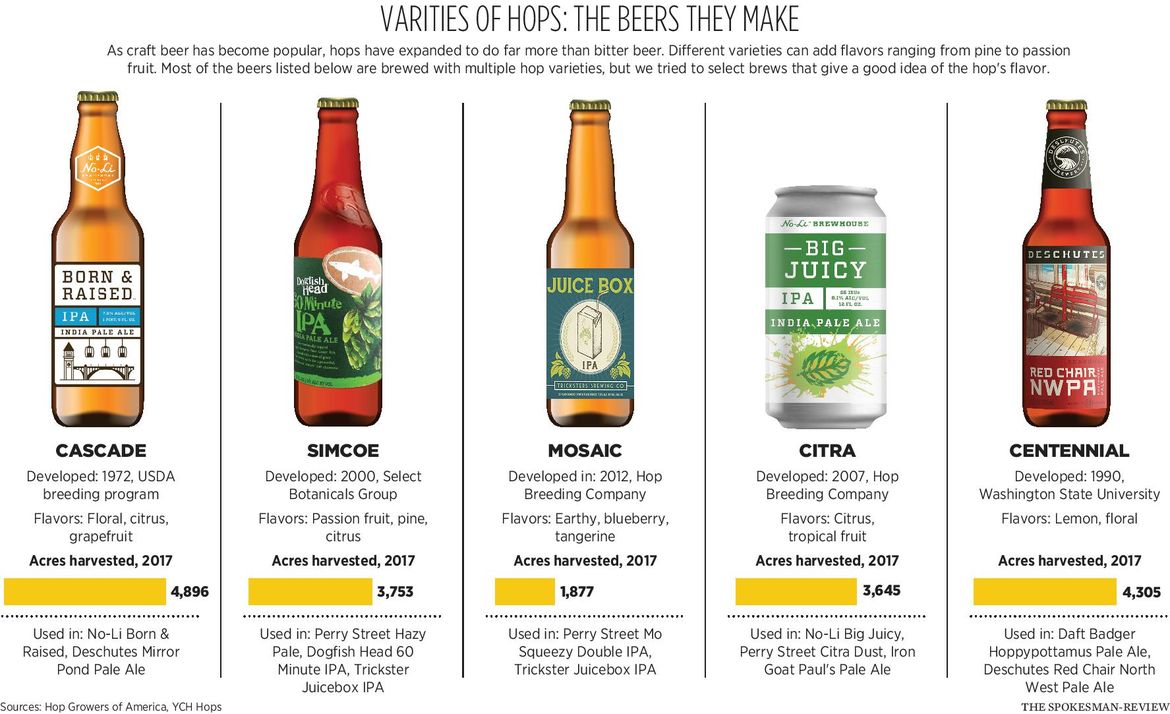 Hops Science Driven By Flavor Trends The Spokesman Review 8223