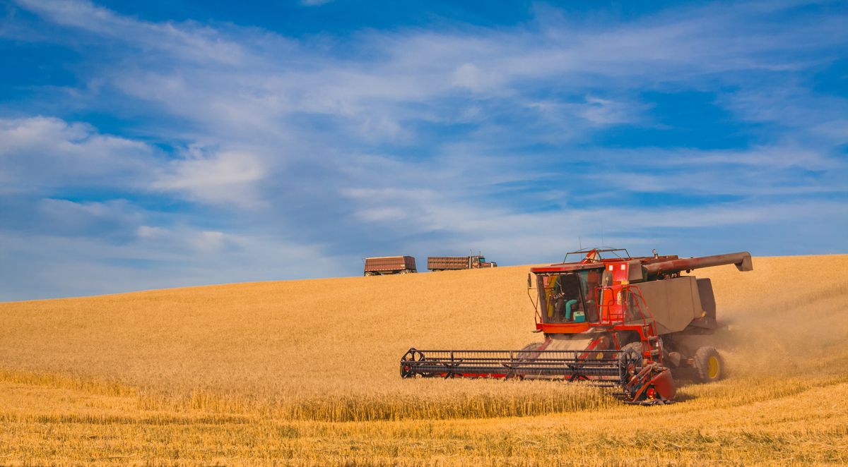 A combine harvets a wheat crop in Eastern Washington (Getty Images)