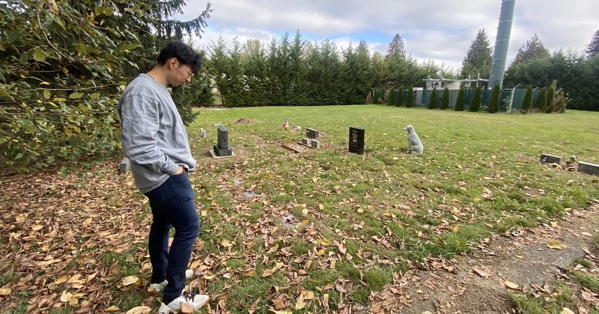 Pet cemetery in Kent has fallen into turmoil, disrepair