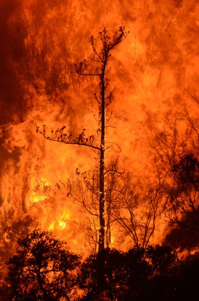 A wildfire burns in the Angeles National Forest in Southern California on Saturday. The fire erupted Friday afternoon in the Sand Canyon area of suburban Santa Clarita. (Ryan Babroff / AP)