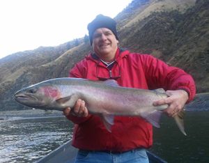 Terry Pike of Columbus, Ohio, caught this 36-inch native steelhead  on the Salmon River near Riggins, Idaho, while fishing with guide Norm Klobetanz on Nov. 15, 2011.
 (Exodus Wilderness Adventures)