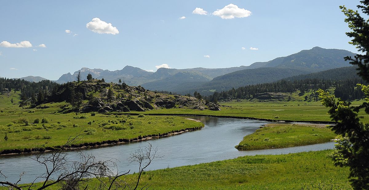 The Slough Creek meadows are a popular destination for anglers looking to catch big Yellowstone cutthroat trout.  (Courtesy of Brett French)