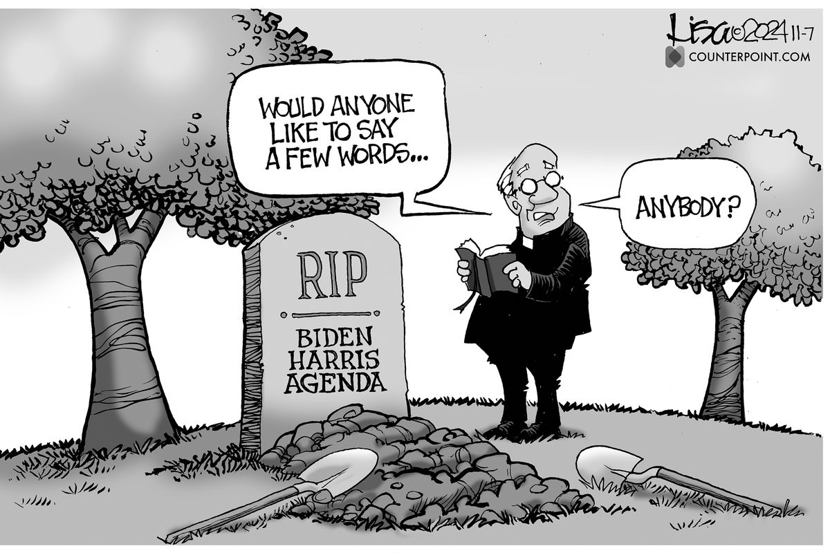 Lisa Benson cartoon (Lisa Benson)