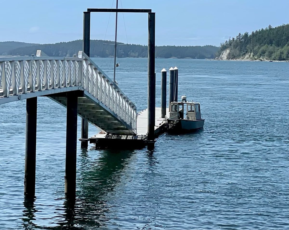 The dock at James Island was mostly empty in late May. (Leslie Kelly)