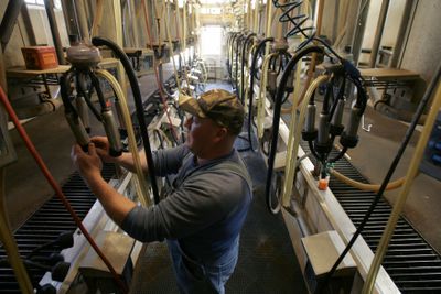 Darrell Kraus prepares equipment before milking on his dairy farm in Barnhart, Mo.  (Associated Press / The Spokesman-Review)