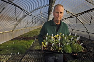 Ed Snodgrass, a fifth-generation farmer at Emory Knoll Farms, started a green roof business about 10 years ago. Now he is the largest supplier of plants for more than 1 million square feet of green roofs in more than 20 states. Baltimore Sun (Baltimore Sun / The Spokesman-Review)