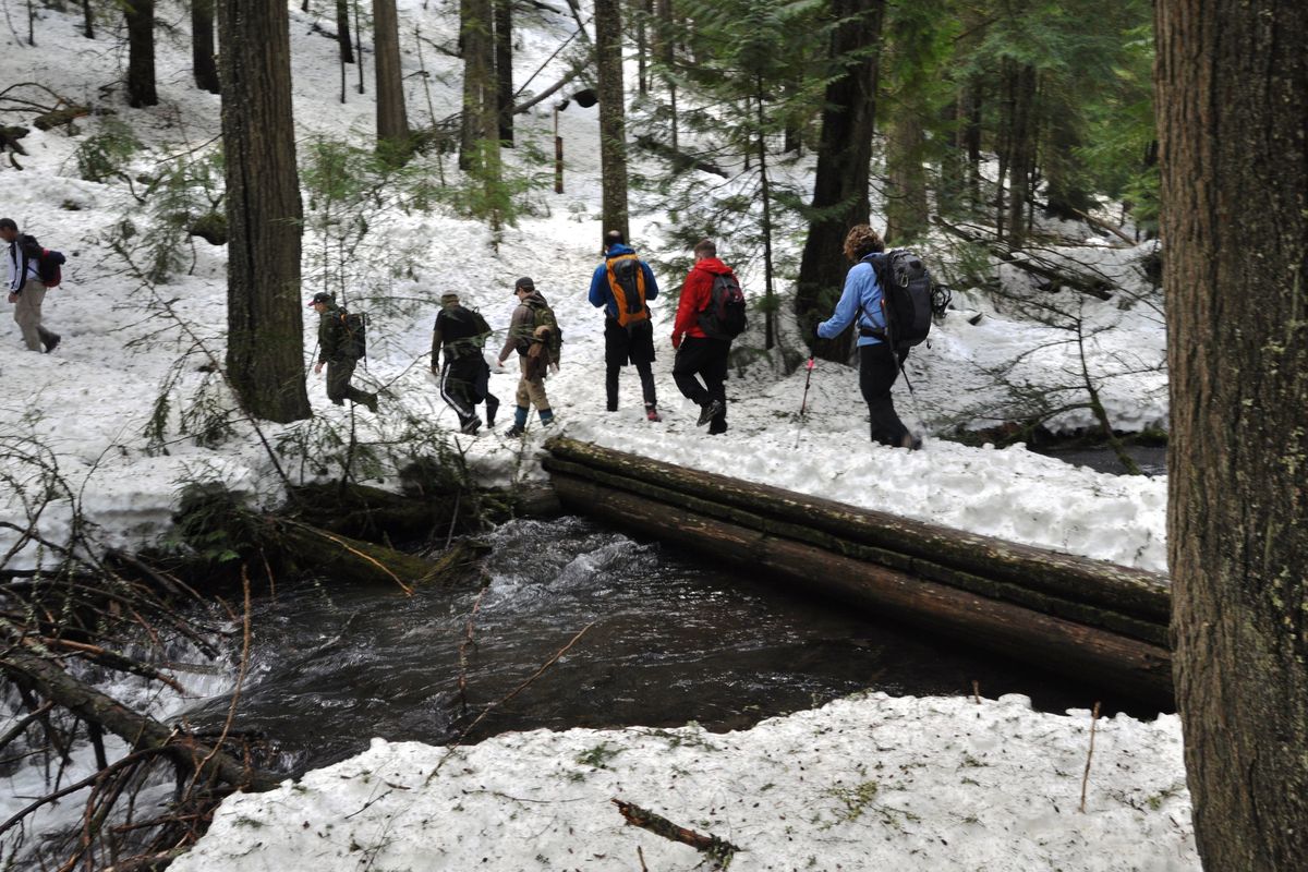 Hikers from the Inland Northwest Hikers Meetup group found plenty of snow lingering in some sheltered stretches of the trail along Bead Lake northeast of Newport, Wash., on April 3, 2011. Here they cross a snow-covered foot bridge over Lodge Creek. (Rich Landers)