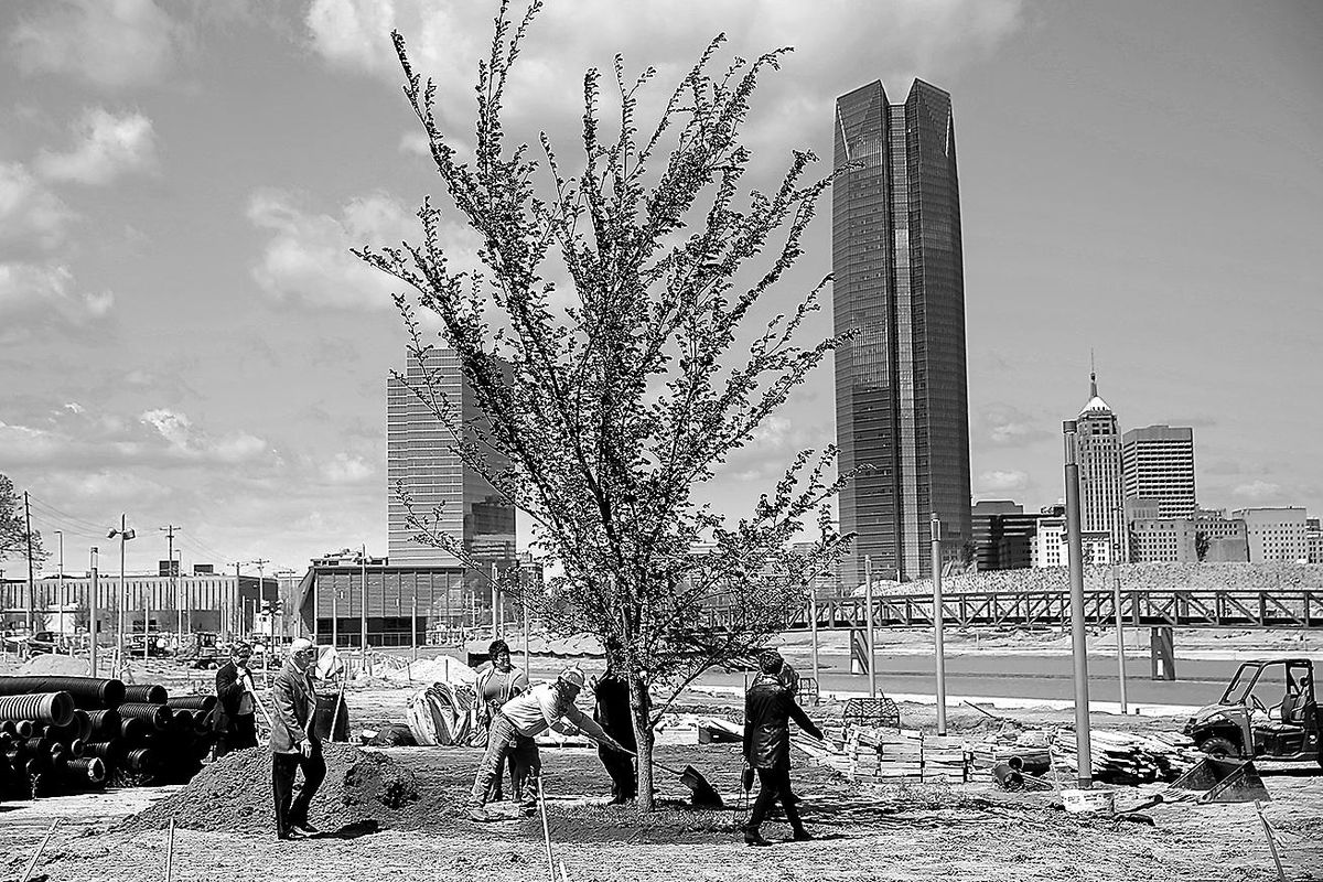 Dignitaries put dirt on a Survivor Tree clone after it was transplanted on the grounds Scissortail Park in Oklahoma City, Friday, April 19, 2019. The Survivor Tree is the 110-year-old American Elm that survived the 1995 bombing of Alfred P. Murrah Federal Building in Oklahoma City. (SARAH PHIPPS / Associated Press)